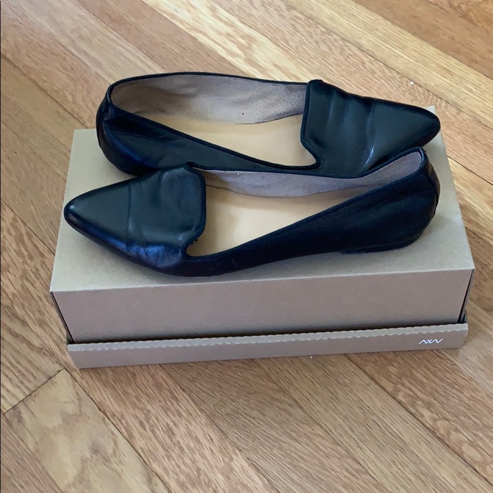 Viola Pointed Flat [PRICE DROP]